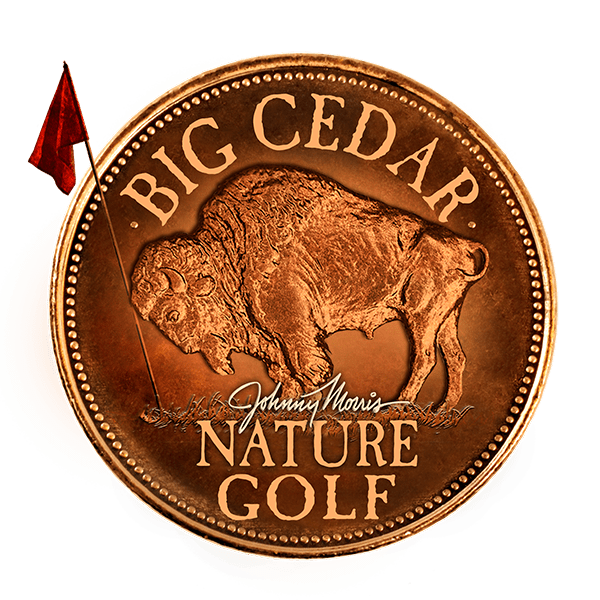 big cedar nature golf logo with a flagpole and buffalo on a copper coin