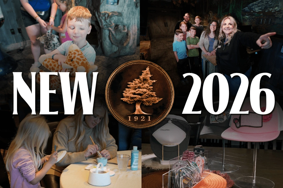 A collage of offerings at the new Activity Center