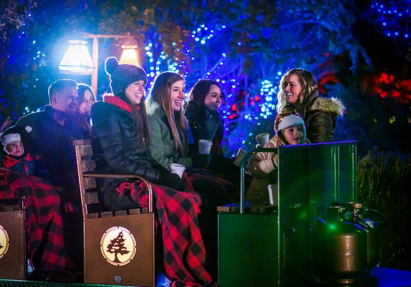Women smiling and laughing on a tram bench surrounded by Christmas lights