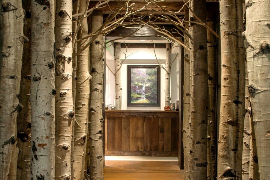 The entrance to Cedar Creek Spa, showing a hallway lined with birch trees.