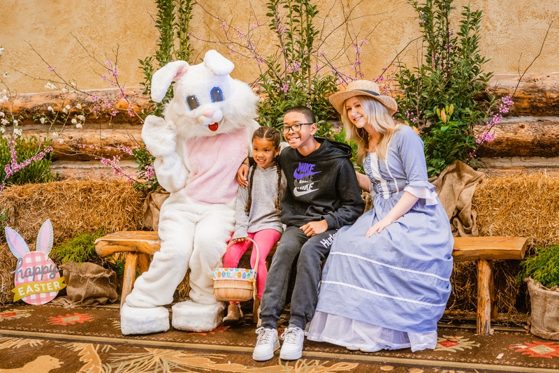 Easter Bunny Meet and Greet