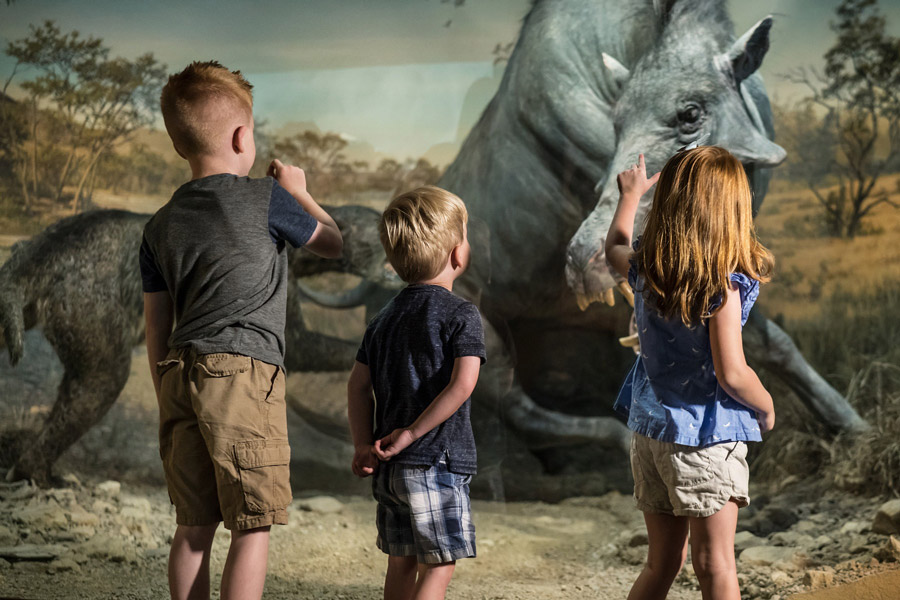Kids enjoying the Ancient Ozarks Natural History Museum at Top of the Rock at Big Cedar