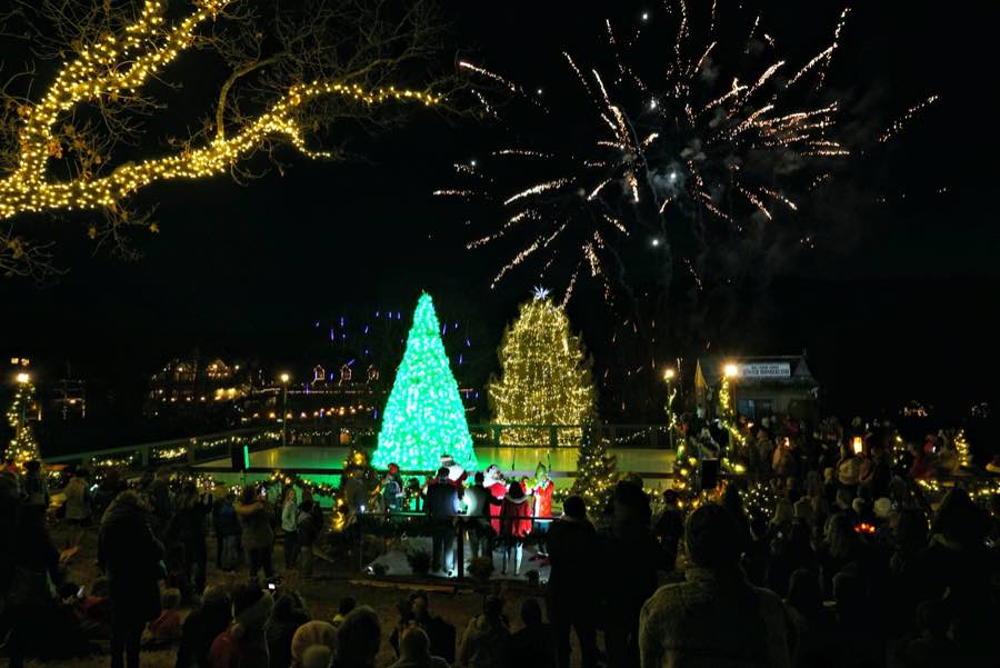 Two Christmas trees lit up with firework backdrop