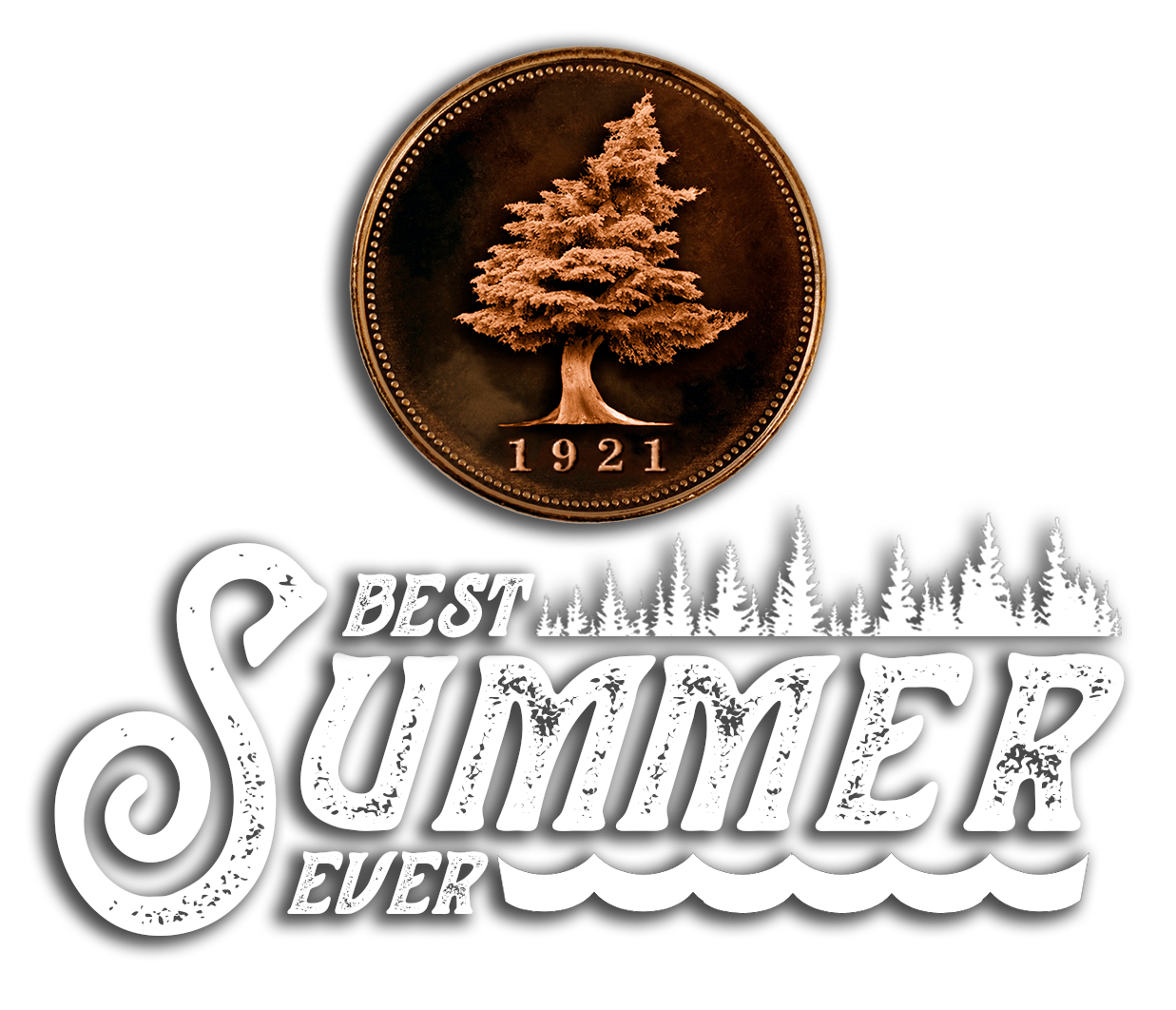 Best summer ever logo