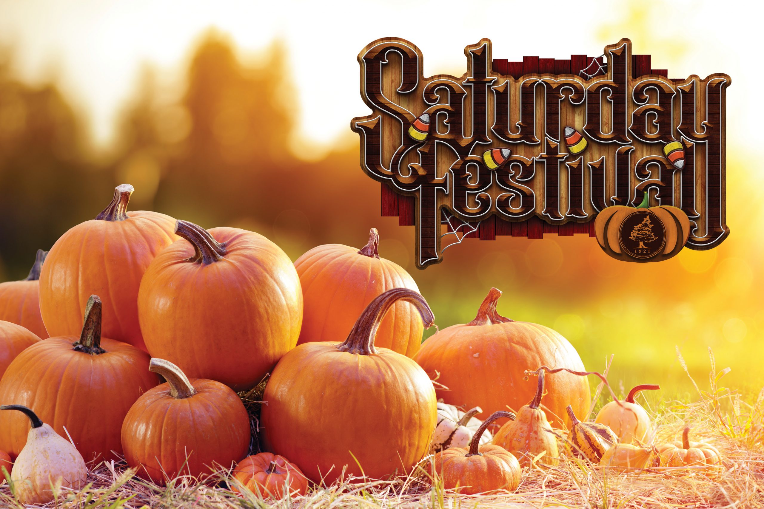 Pumpkins with Saturday-Fest-Logo