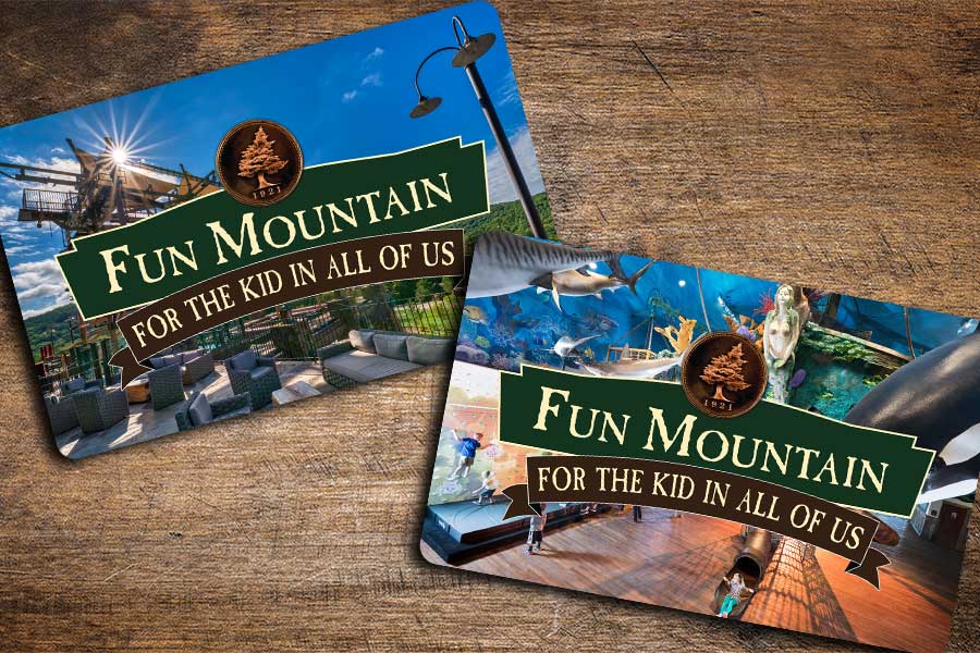Two Fun Mountain Game Cards laying on rustic wooden table