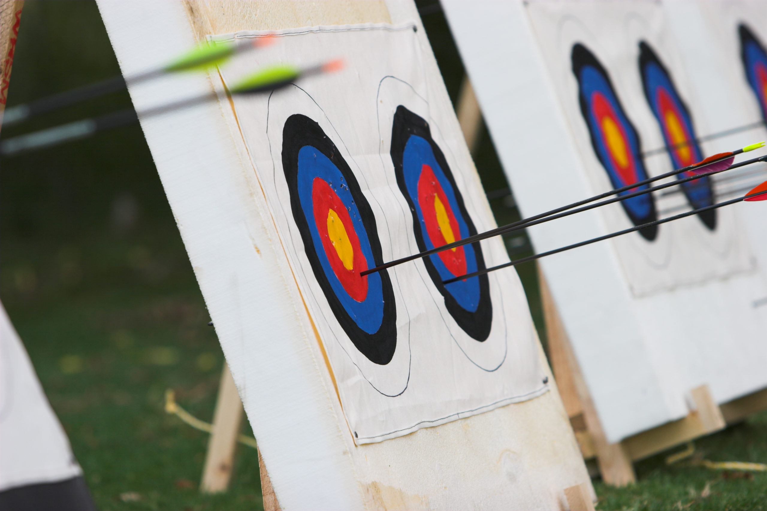 Archery side view of target wit harrows
