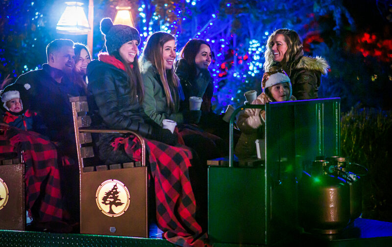 Women smiling and laughing on a tram bench surrounded by Christmas lights