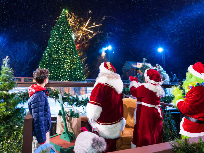 Christmas Tree Lighting Ceremony