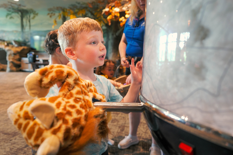 Web JPG-2025_BCL_Activities_Cozy Critters-2