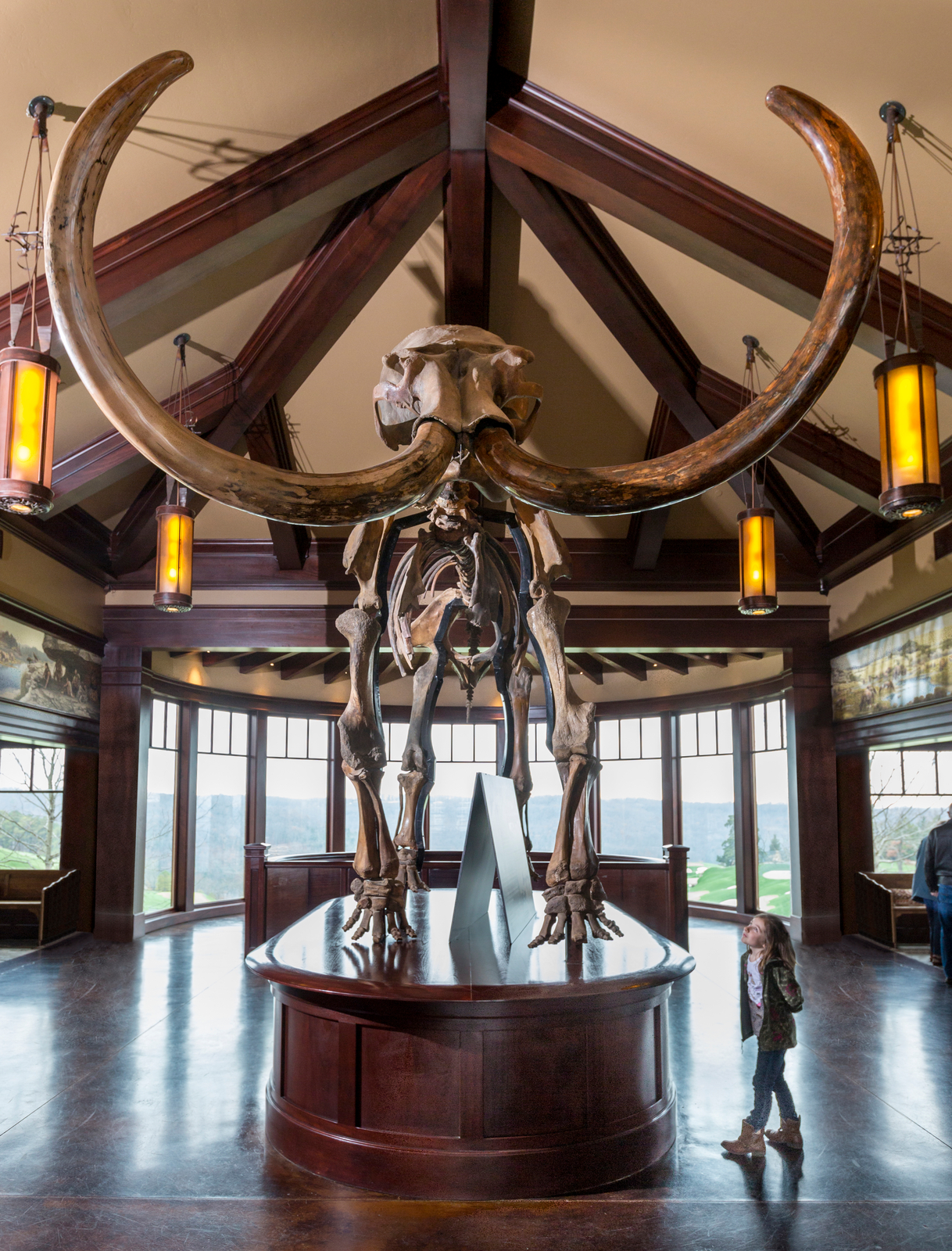 HiRes JPG-2014_Top of the Rock_Ancient Ozarks Natural History Museum_Woolly Mammoth