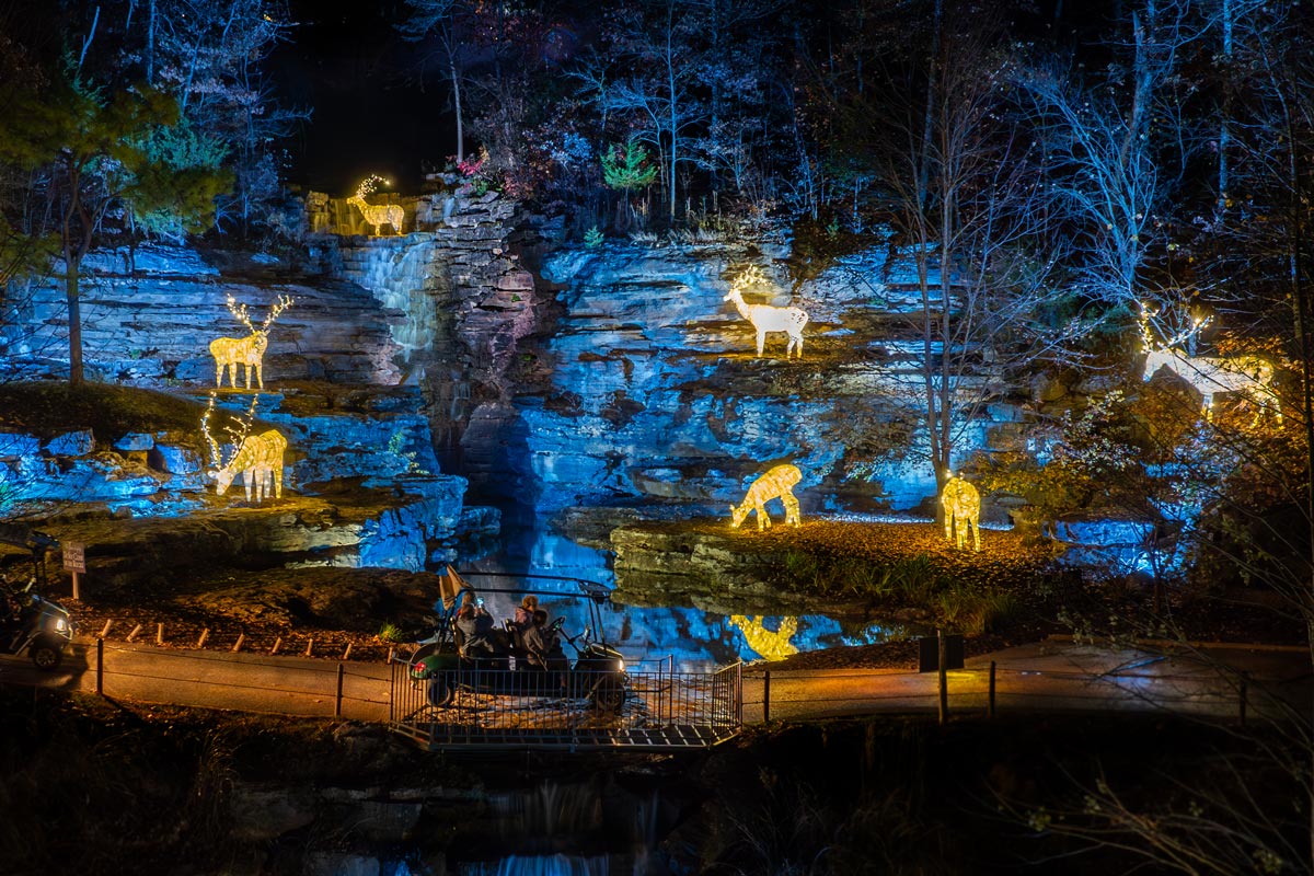 2023_TopoftheRock_LCCNT_NatureatNight_Nature-at-Night-1