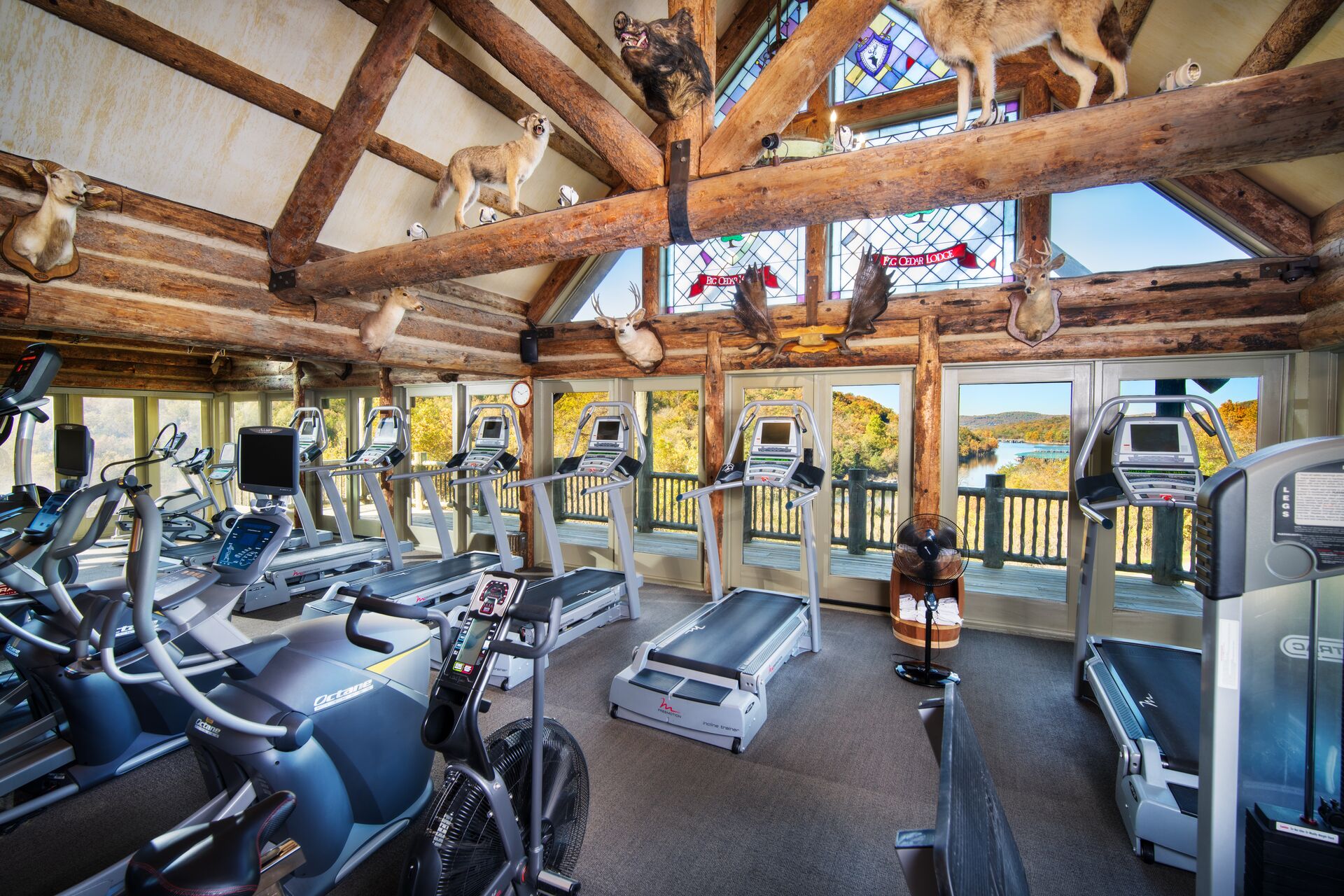 Full HD JPG-2021_BigCedar_ActivitiesAmenities_FitnessCenter_0001 big cedar lodge fitness center. gym equipment in a lodge style room with taxidermy animals surrounding the ceiling