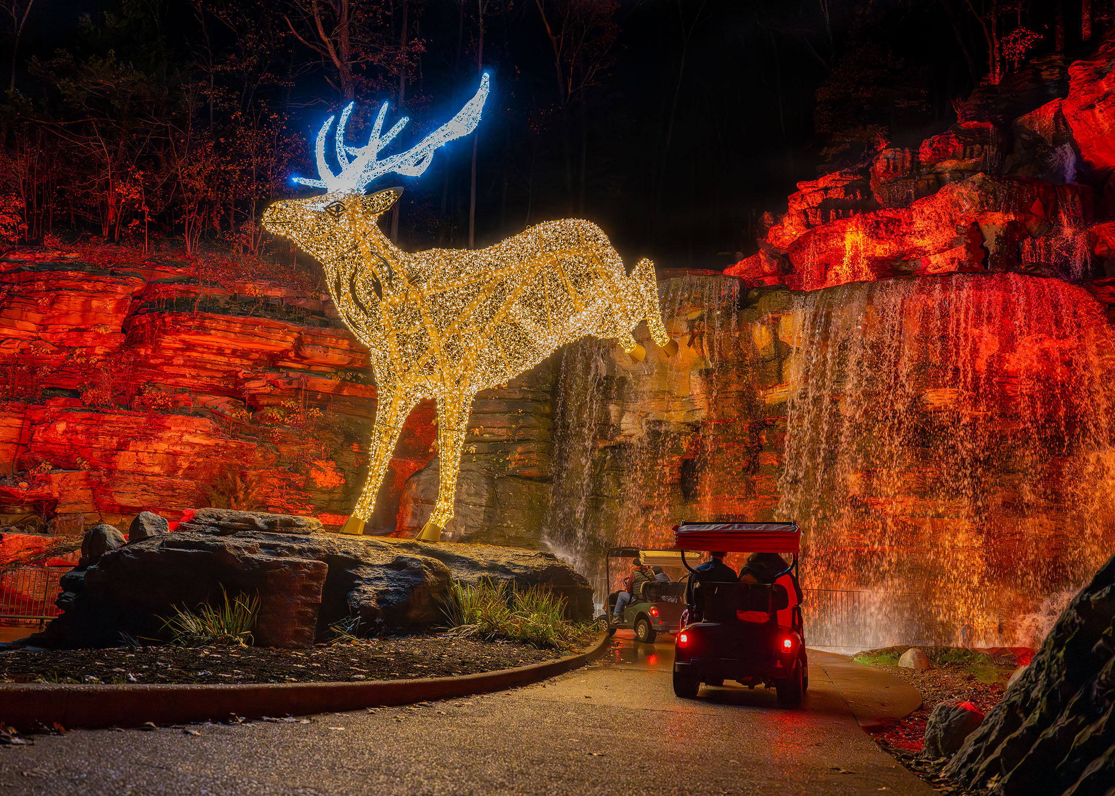 Christmas Activities Big Cedar Lodge