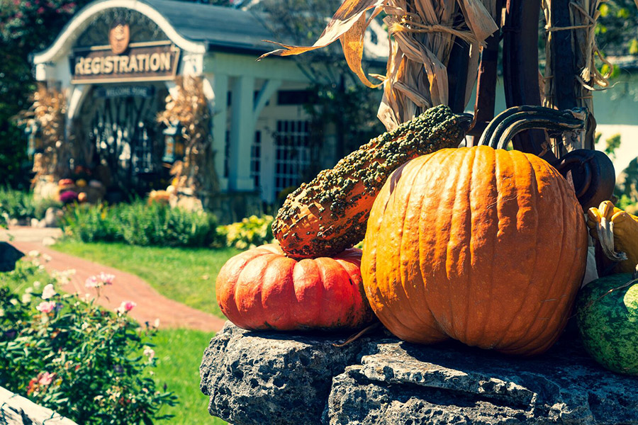 Full HD JPG-2021_BigCedar_HolidaysEvents_CedarFest_0001_900x600