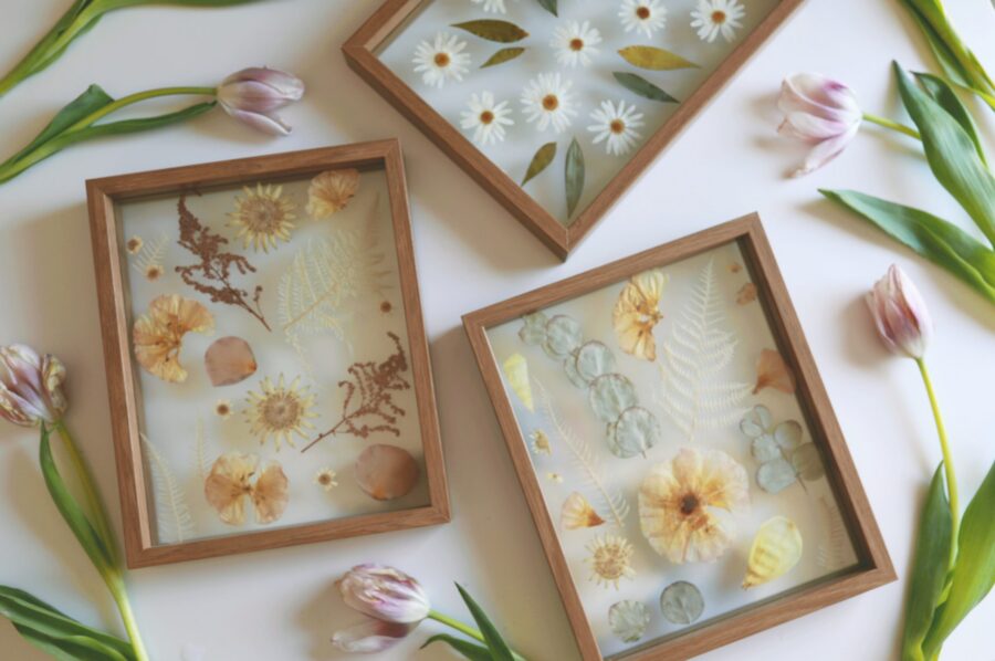 A set of pressed flowers in framed clear glass