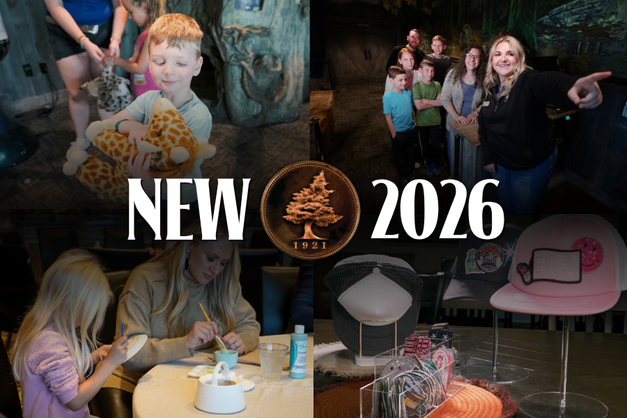 Activity center collage-2