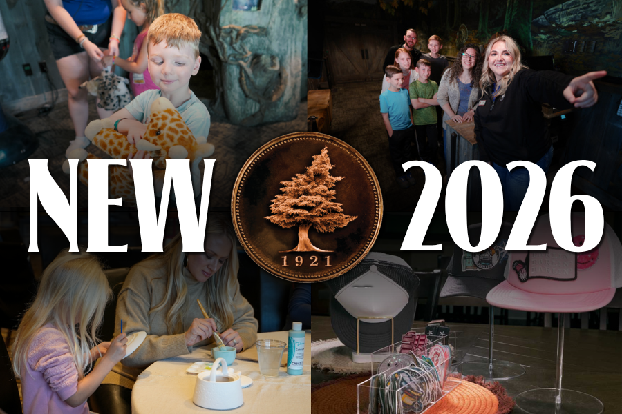 A collage of offerings at the new Activity Center