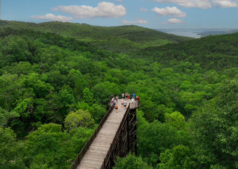 People overlook forested valley on a wood and steel walkway