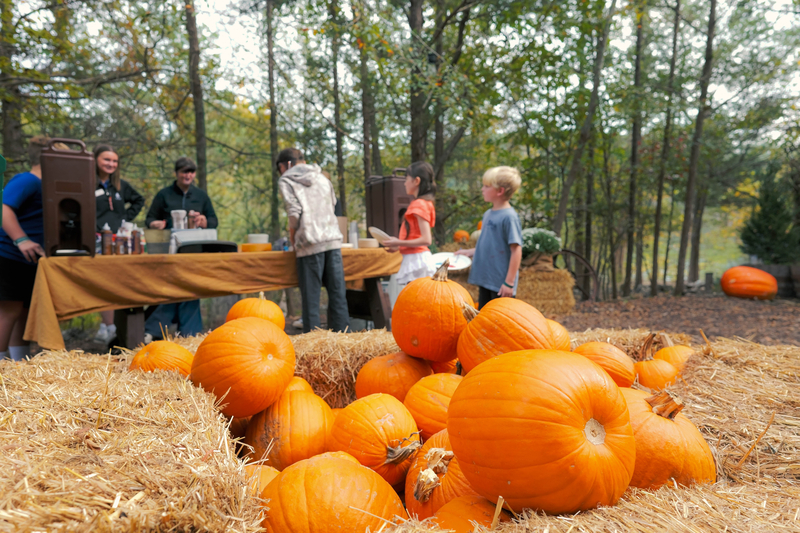 Cedar Fest Saturdays at Big Cedar Lodge