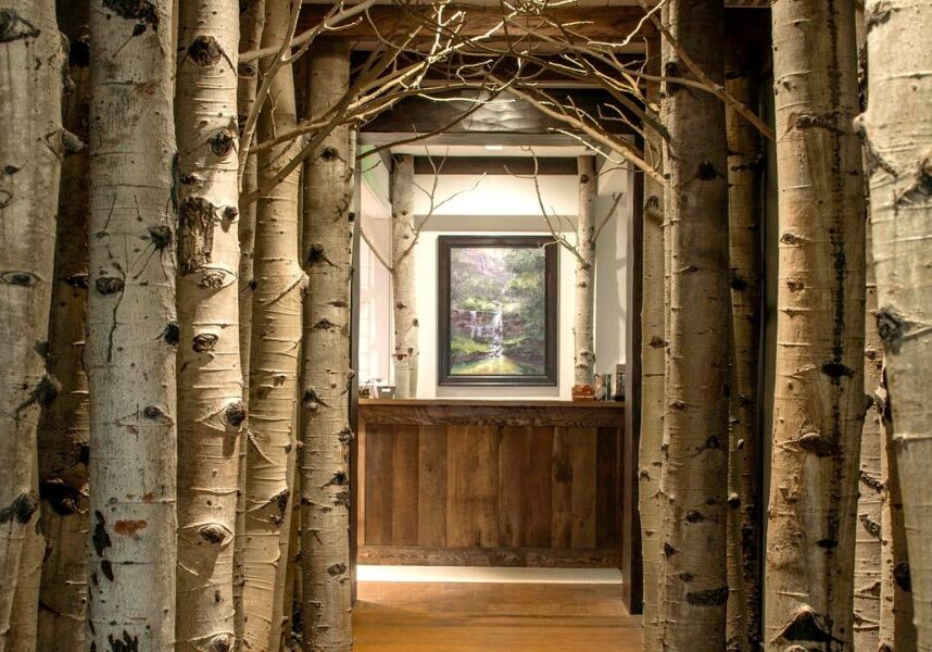 The entry to the Cedar Creek Spa is lined with beautiful trees.