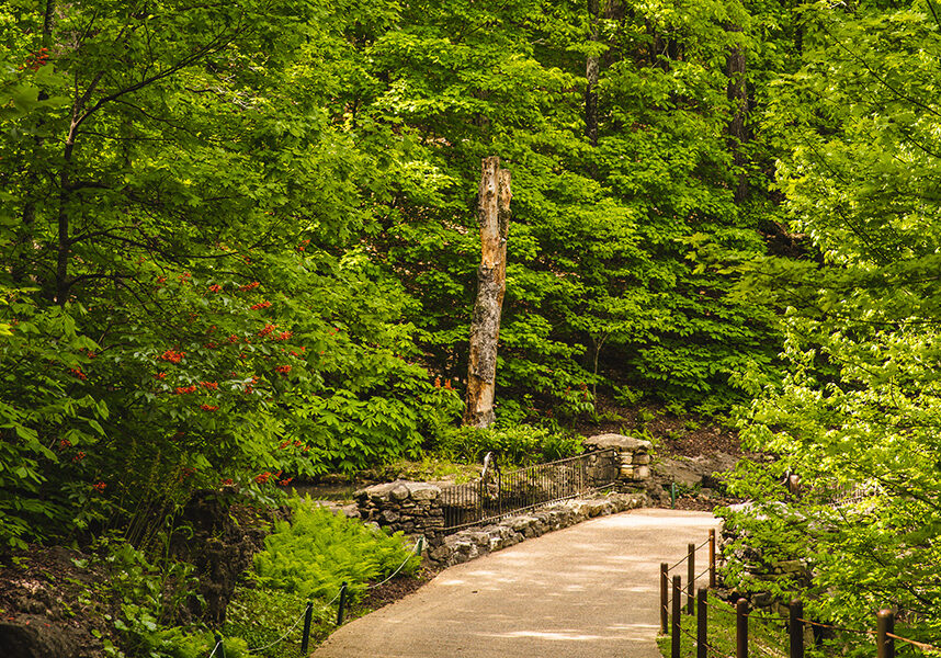 2025_TOR_GuidedWalkingTour_GalleryImage_5_900x600