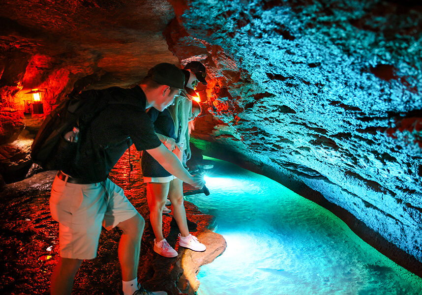 A guide leans over with a flashlight and points out several small animals in a pool of water within the Lost Canyon Cave.