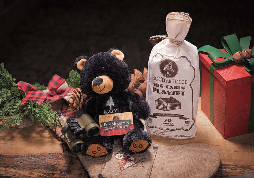 Full HD JPG-2025_BCL_Promotions_FunMtn_StockingStuffer-4_900x600