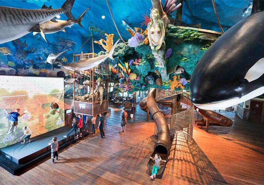 Fun Mountain Ship Slide and Climbing Wall