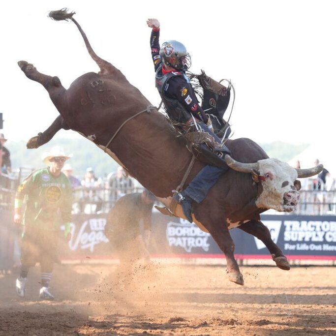 A proffesional bull rider from the Missouri Thunder riding team on a wide-eyed, brow and white long horn steer with its back legs kicking up 8 feet in the air and its front legs a foot off the ground. The rider wears a helmet and hangs on with one hand with the other raised in the air for balance and control