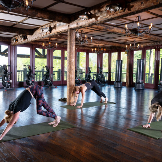 bcl yoga in ozark room fitness